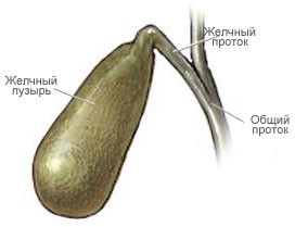 После удаления желчного зеленый стул